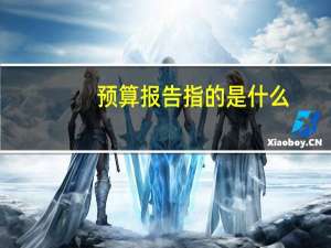 预算报告指的是什么
