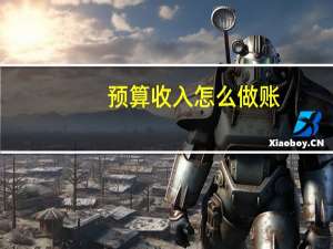 预算收入怎么做账