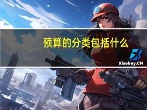 预算的分类包括什么