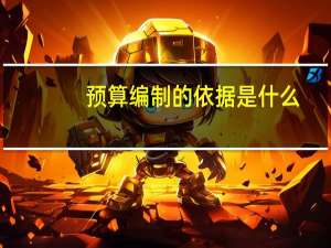 预算编制的依据是什么