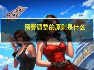 预算调整的原则是什么