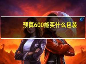 预算600能买什么包装