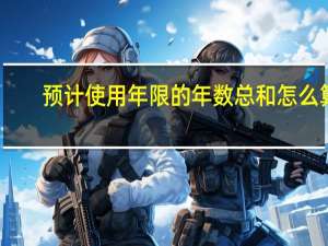 预计使用年限的年数总和怎么算