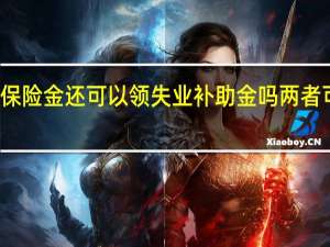 领了失业保险金还可以领失业补助金吗　两者可以同时领取吗