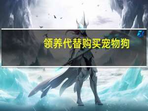 领养代替购买宠物狗