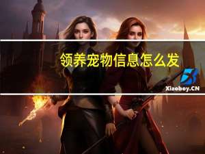 领养宠物信息怎么发