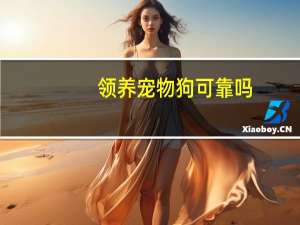 领养宠物狗可靠吗