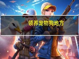 领养宠物狗地方