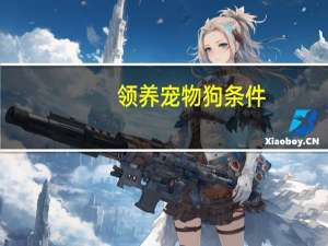 领养宠物狗条件