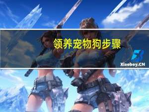 领养宠物狗步骤