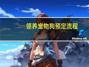 领养宠物狗预定流程