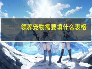 领养宠物需要填什么表格