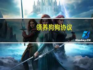 领养狗狗协议