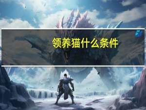 领养猫什么条件