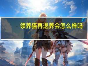领养猫再退养会怎么样吗