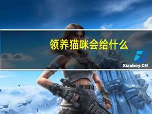 领养猫咪会给什么