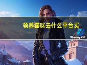 领养猫咪去什么平台买