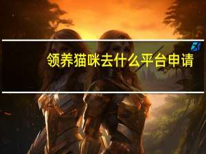 领养猫咪去什么平台申请