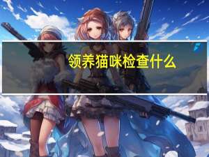 领养猫咪检查什么
