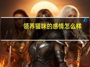 领养猫咪的感情怎么样