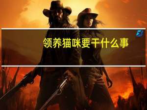 领养猫咪要干什么事