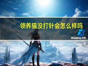 领养猫没打针会怎么样吗