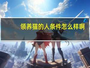领养猫的人条件怎么样啊