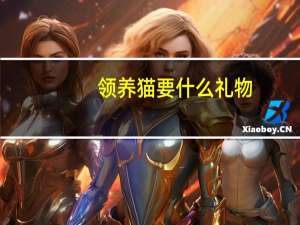 领养猫要什么礼物