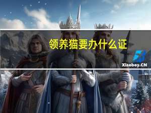 领养猫要办什么证