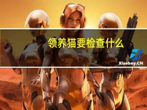 领养猫要检查什么