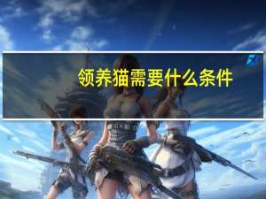 领养猫需要什么条件