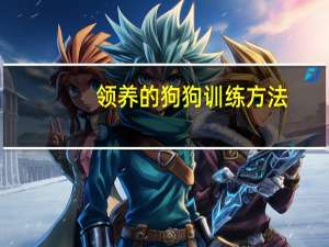 领养的狗狗训练方法