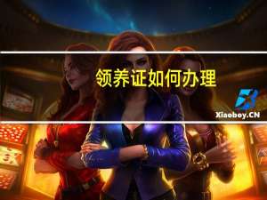 领养证如何办理