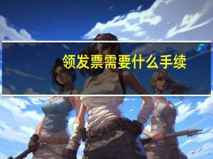 领发票需要什么手续