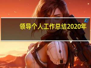 领导个人工作总结2020年（领导个人工作总结）