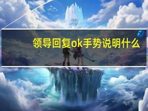 领导回复ok手势说明什么