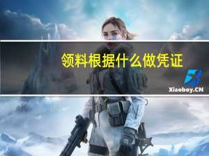领料根据什么做凭证
