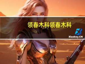 领春木科领春木科-基本介绍