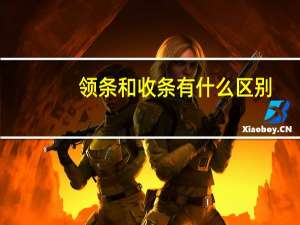 领条和收条有什么区别