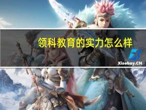 领科教育的实力怎么样