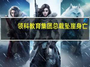 领科教育集团总裁坠崖身亡，他开创的领科教育何以备受青睐