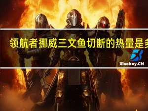 领航者 挪威三文鱼切断的热量是多少