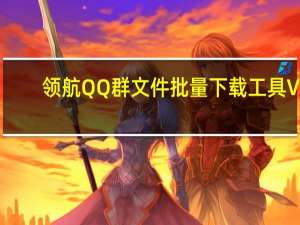领航QQ群文件批量下载工具 V1.0 绿色免费版（领航QQ群文件批量下载工具 V1.0 绿色免费版功能简介）