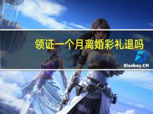 领证一个月离婚彩礼退吗