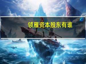 领雁资本股东有谁（山西领雁科技有限公司简介）