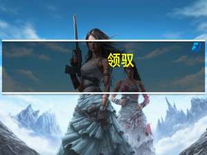 领驭,帕萨特领驭,新领驭怎么样耐用吗 大众帕萨特新领驭