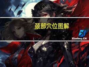 颈部穴位图解（颈部穴位图）