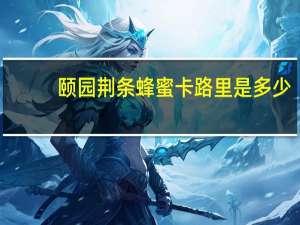 颐园 荆条蜂蜜卡路里是多少