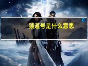 频道号是什么意思