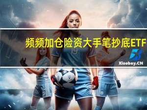 频频加仓 险资大手笔抄底ETF